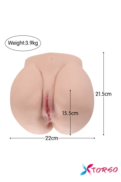 affordable sex doll torso